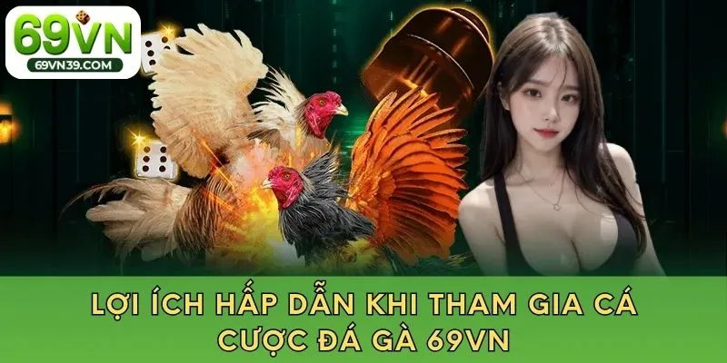 Lợi ích hấp dẫn khi tham gia cá cược đá gà 69VN